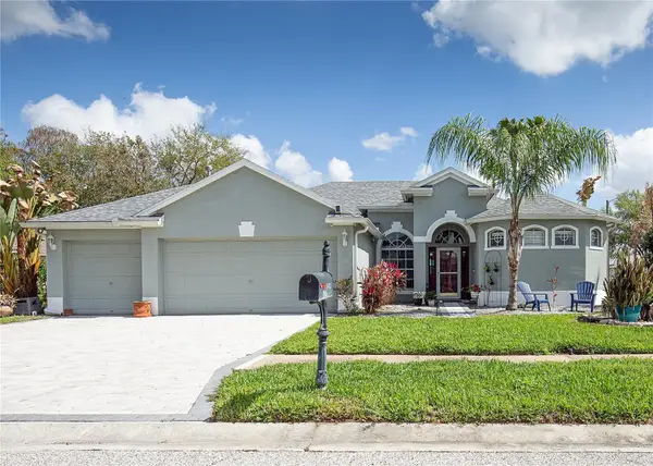 1422 Tawnyberry Court, TRINITY, FL 34655