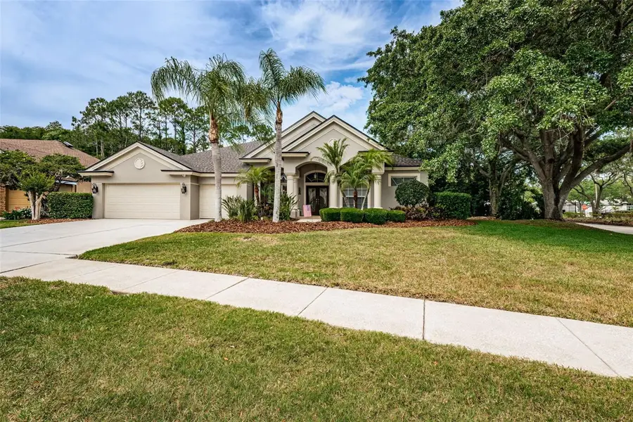 4604 Ayron Terrace, Palm Harbor, FL 34685 - #2