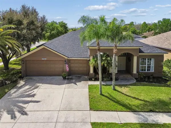 17906 Sparrows Nest Drive, LUTZ, FL 33558