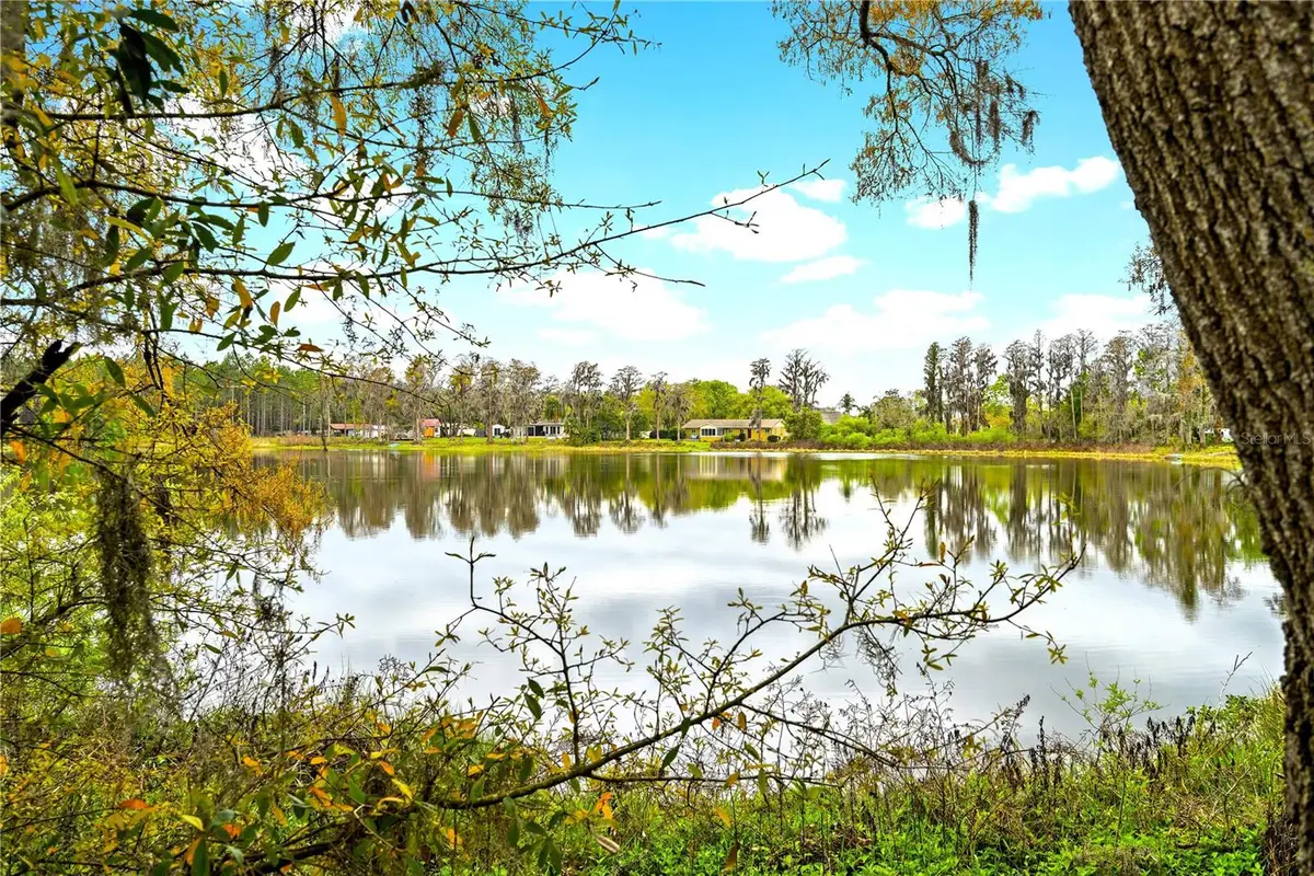 18150 Burrell Road, Odessa, FL 33556 - #1