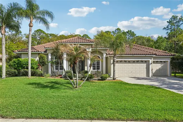 4931 Turtle Creek Trail, OLDSMAR, FL 34677