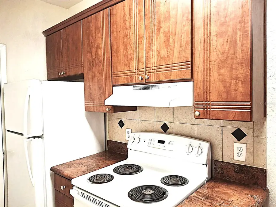 13304 Sanctuary Cove Drive #303, Temple Terrace, FL 33637 - #3