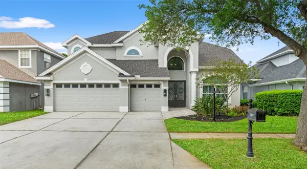 11627 Renaissance View Court, TAMPA, FL 33626