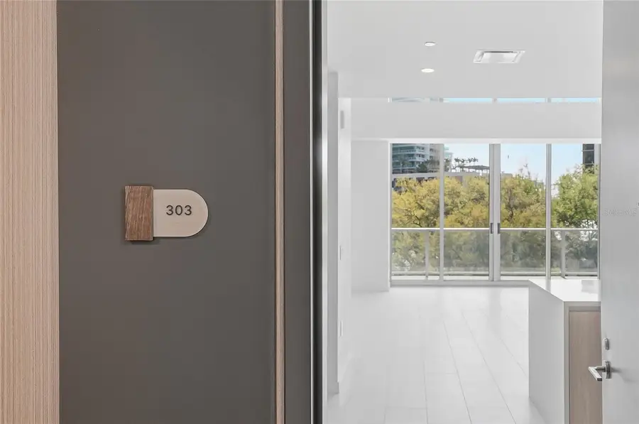 400 Central Avenue #303, Saint Petersburg, FL 33701 - #3