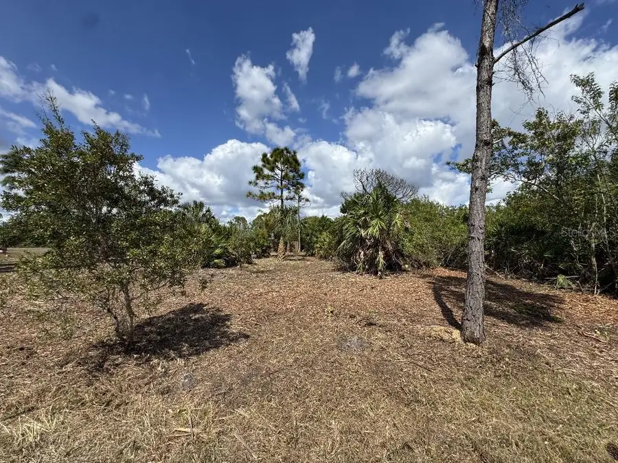 12238 Zittle Avenue, Port Charlotte, FL 33981 - #3