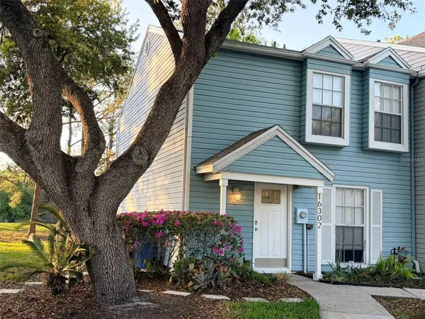 16302 Rambling Vine Drive W, TAMPA, FL 33624