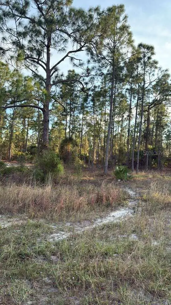 918 Belmont Street E, LEHIGH ACRES, FL 33974