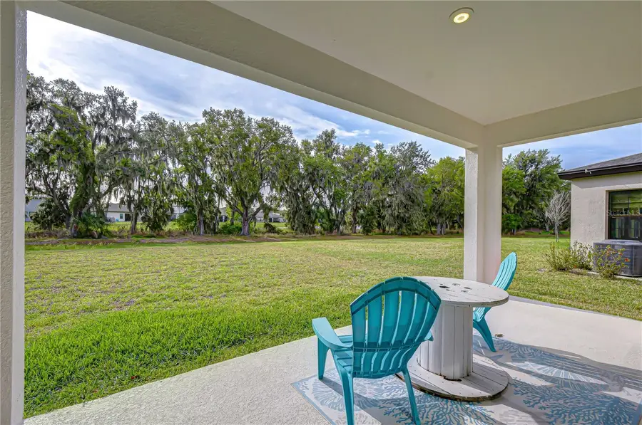 14733 Gallop Run Drive, Lithia, FL 33547 - #3