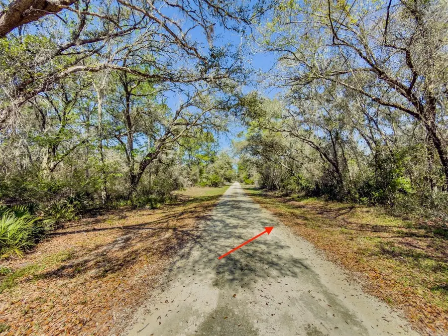 7262 Sonia Avenue, Webster, FL 33597 - #3