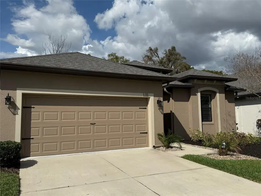 131 Elina Sky Drive, Seffner, FL 33584 - #3