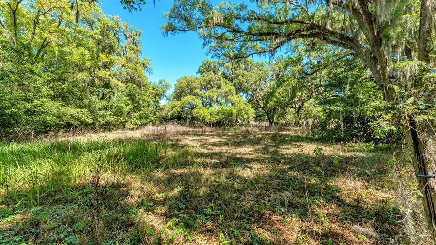 0 Oak Haven Drive, Lakeland, FL 33810 - #2