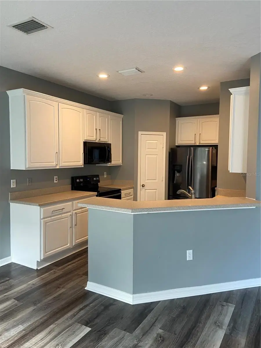 27546 Pleasure Ride Loop, Wesley Chapel, FL 33544 - #2