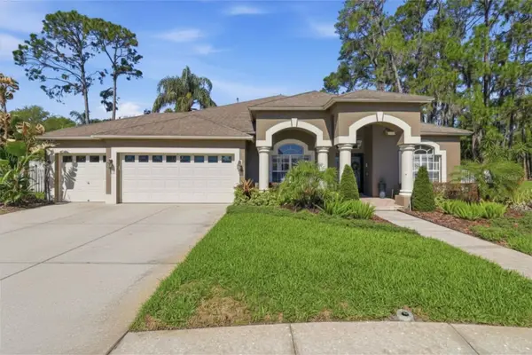 3629 Whistling Lane, LAND O LAKES, FL 34639