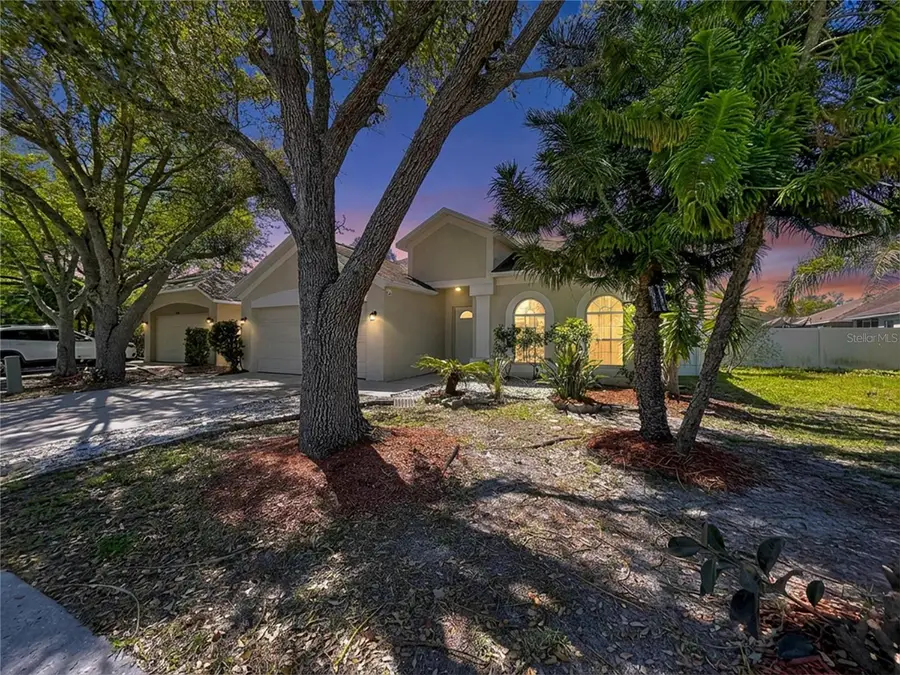 10310 Birdwatch Drive, Tampa, FL 33647 - #3