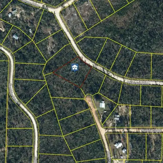 Anderson Drive, Alford, FL 32420 - #2