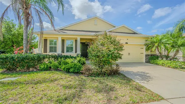 10627 Scenic Hollow Drive, RIVERVIEW, FL 33578