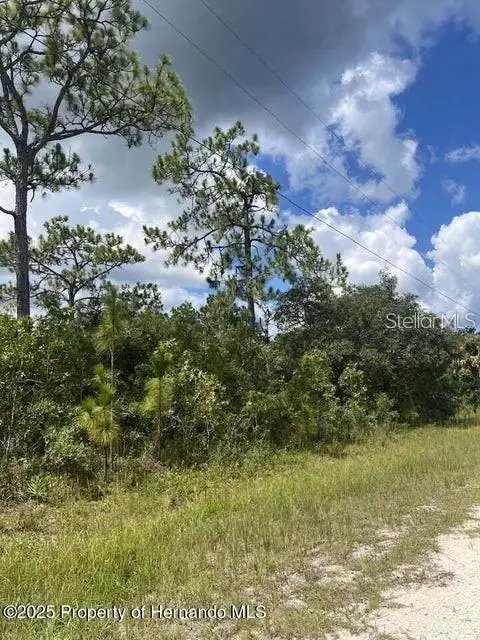 10194 Yellow Frog Avenue, Weeki Wachee, FL 34614 - #1