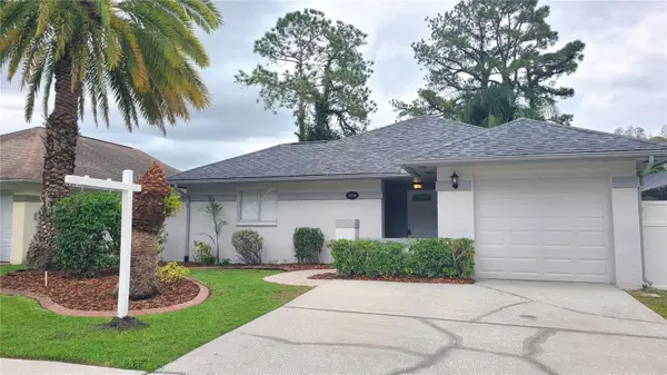 5938 Birchwood Drive, TAMPA, FL 33625