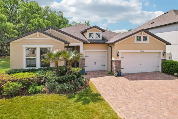 19246 Briarbrook Drive, TAMPA, FL 33647