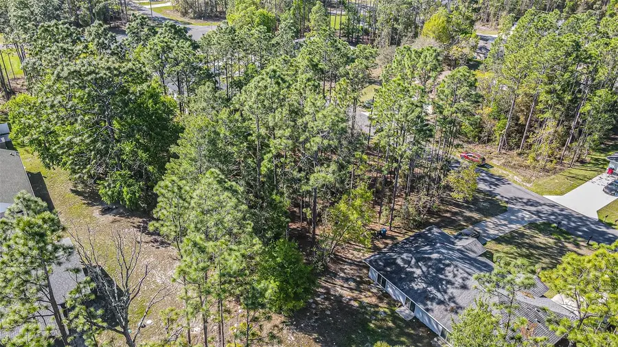 9411 N Mendoza Way, Citrus Springs, FL 34434 - #3