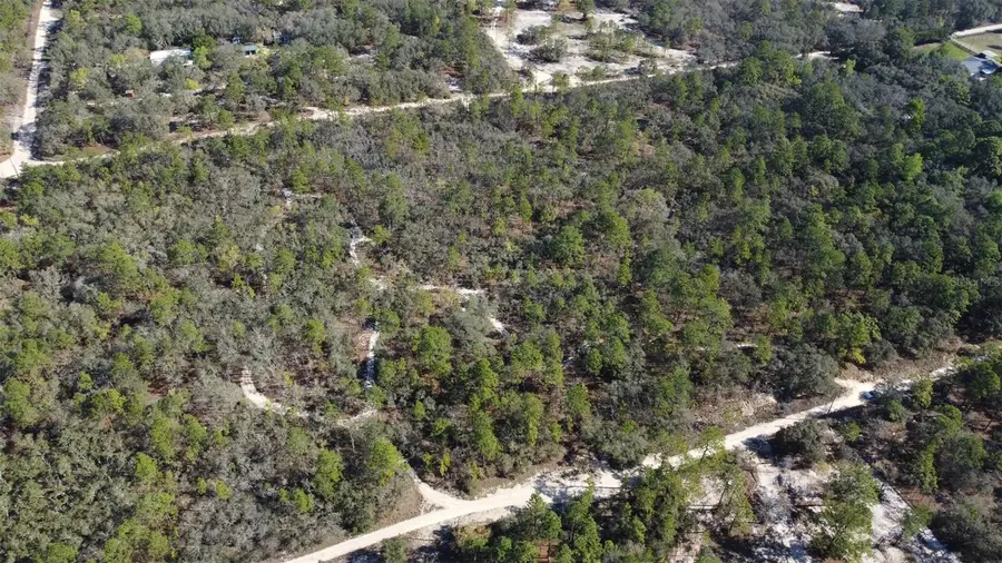 4771 W Herman Court, Homosassa, FL 34446 - #2