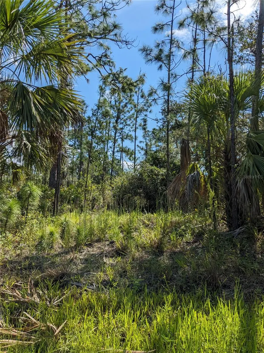 492 Biscayne Drive, Port Charlotte, FL 33953 - #2