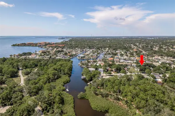 14 Baywood Drive, PALM HARBOR, FL 34683