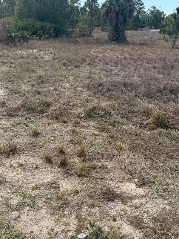 1511 Columbus Avenue, LEHIGH ACRES, FL 33972