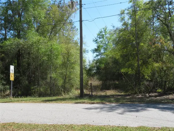 Address Withheld By Seller, SAN ANTONIO, FL 33576