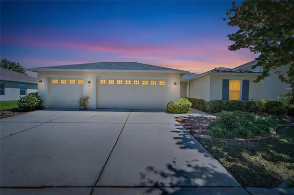 5325 Sandy Shell Drive, APOLLO BEACH, FL 33572