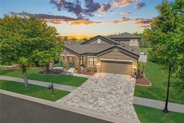 21827 Southern Charm Drive, LAND O LAKES, FL 34637