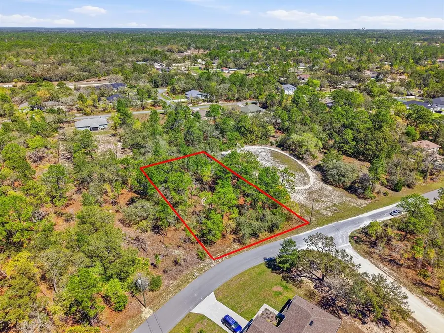 11155 Marsh Wren Avenue, Weeki Wachee, FL 34614 - #3