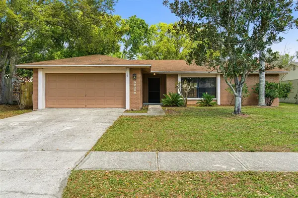 15925 Crying Wind Drive, TAMPA, FL 33624