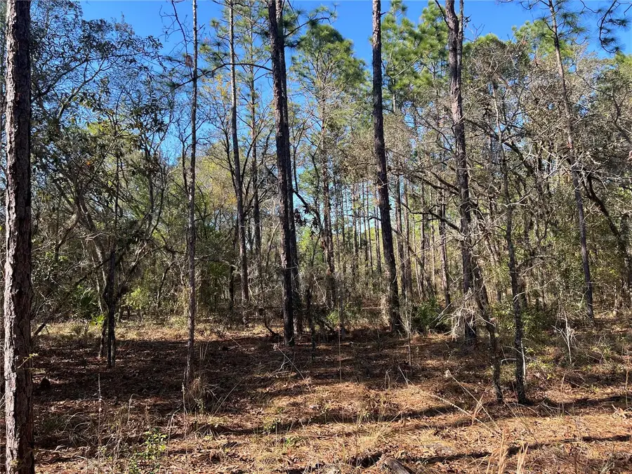 4061 N Little Dove Terrace, Hernando, FL 34442 - #2