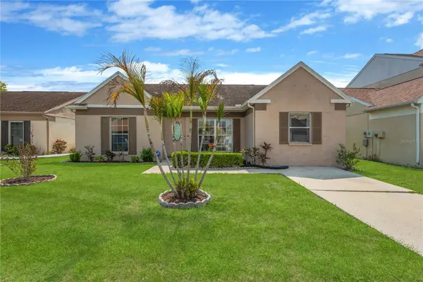 4412 Shadberry Drive, TAMPA, FL 33624