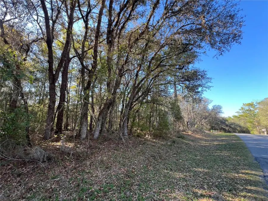 3968 N Indianhead Road, Hernando, FL 34442 - #2