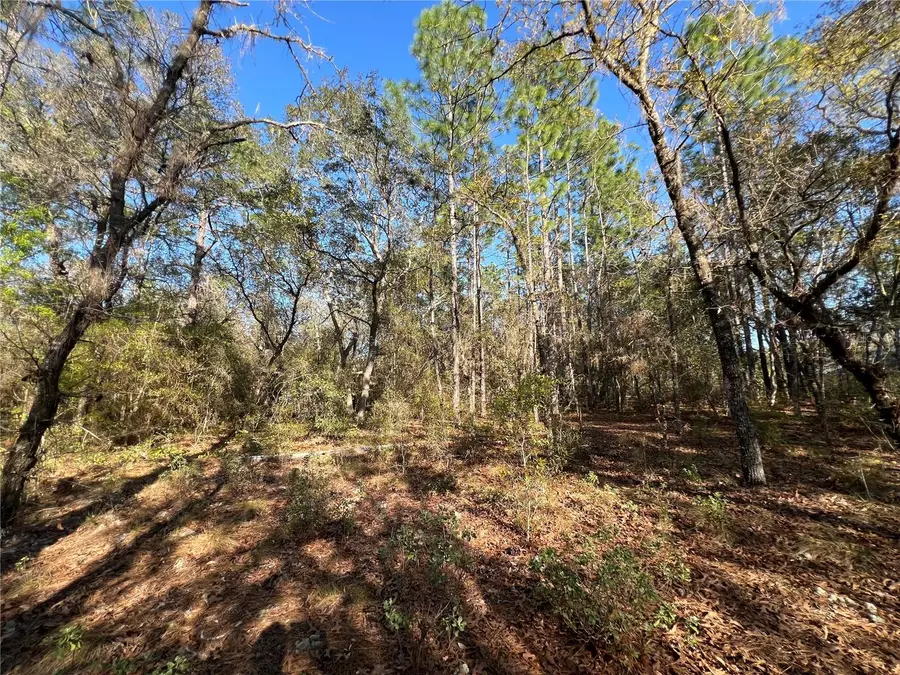 3968 N Indianhead Road, Hernando, FL 34442 - #3