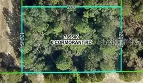 13408 Cormorant Road, Brooksville, FL 34614 - #1