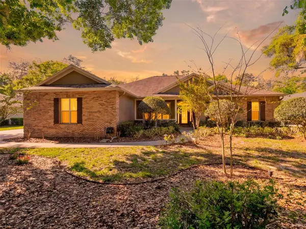 6107 Kingbird Manor Drive, LITHIA, FL 33547