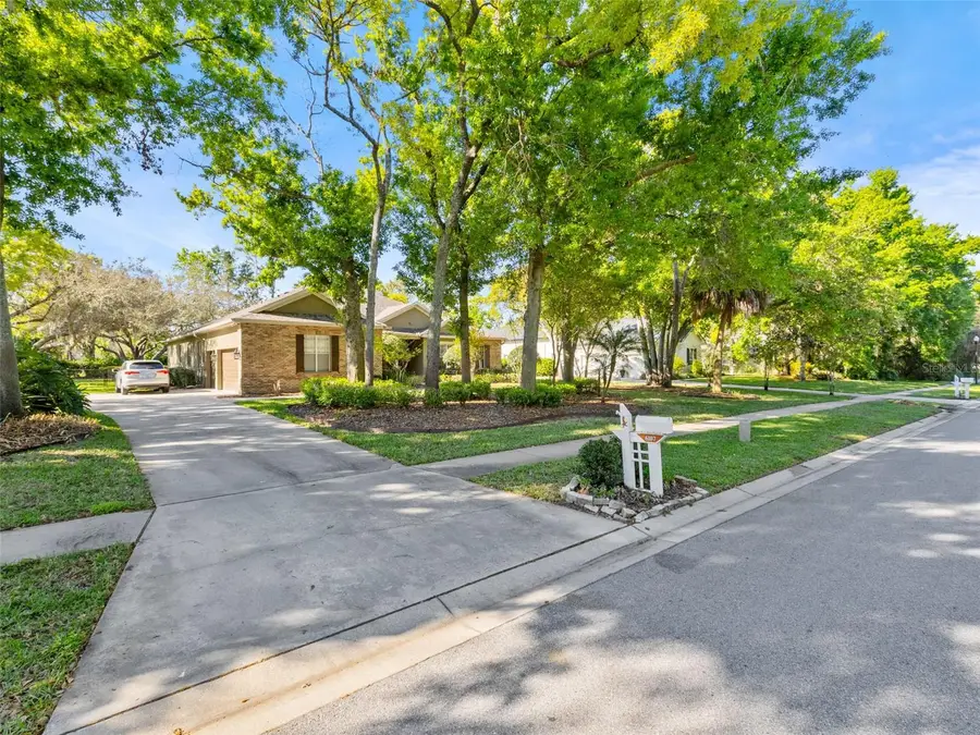 6107 Kingbird Manor Drive, Lithia, FL 33547 - #3