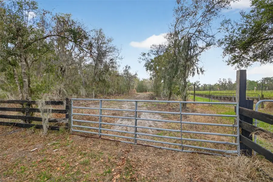 11803 Dog Hollow Lane, Lithia, FL 33547 - #2