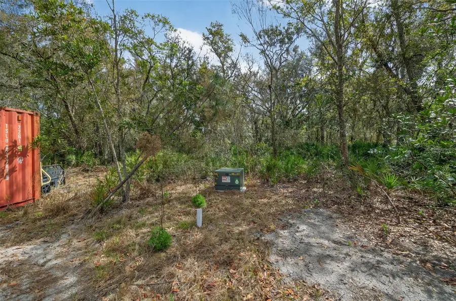 11803 Dog Hollow Lane, Lithia, FL 33547 - #3