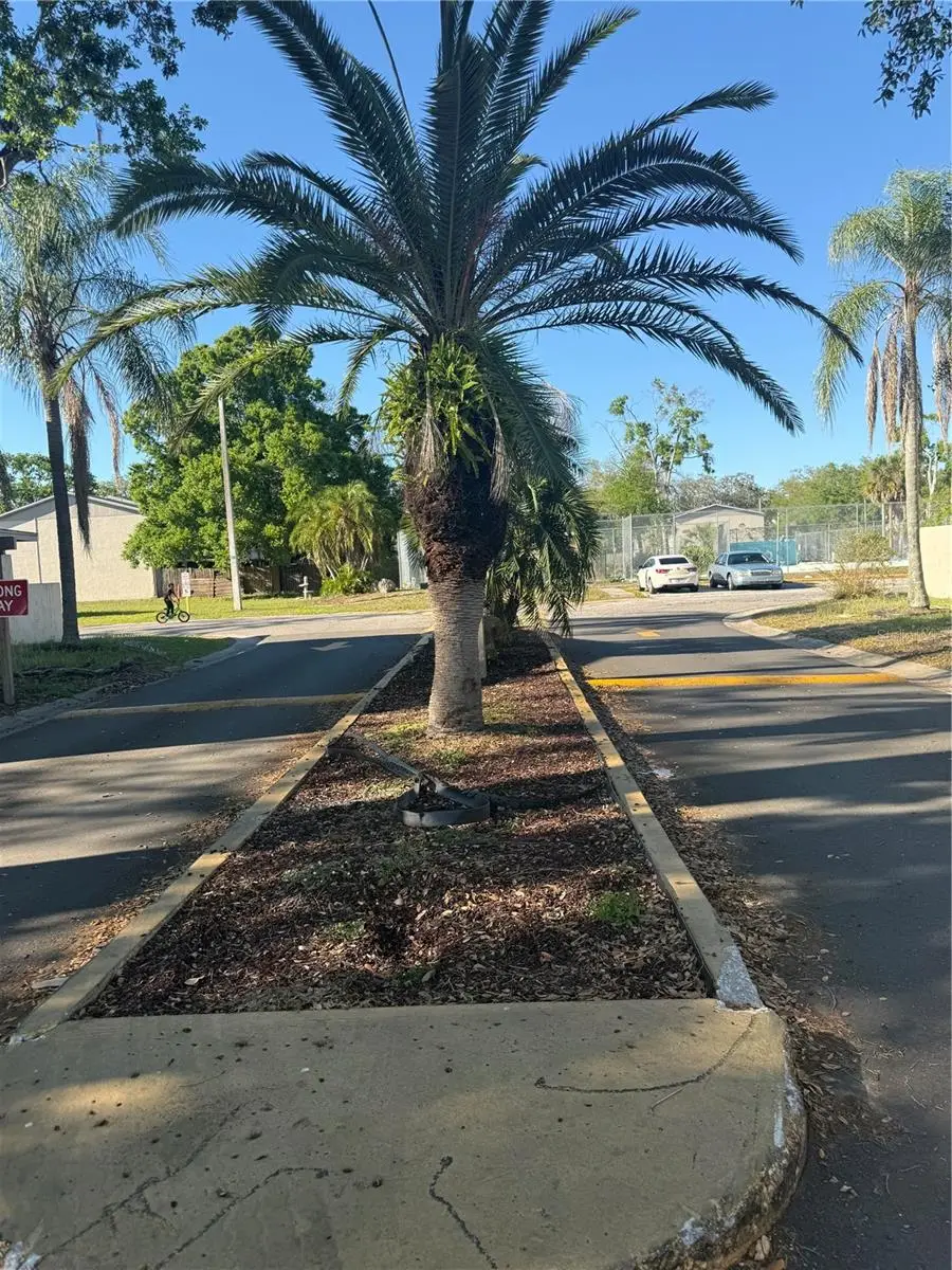 5118 Tennis Court Circle, Tampa, FL 33617 - #3