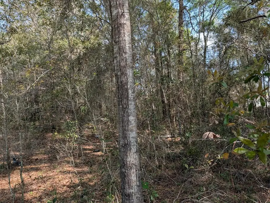 SW 30th Place, Ocala, FL 34481 - #2