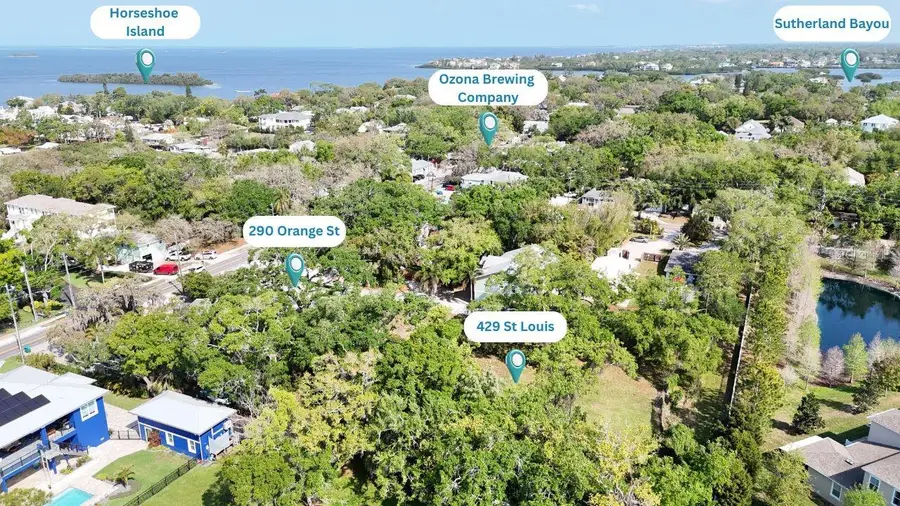 290 Orange Street, Palm Harbor, FL 34683 - #3