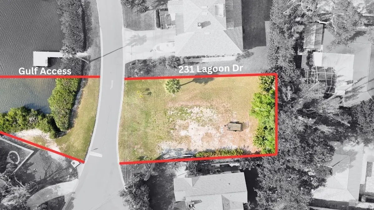 231 Lagoon Drive, Palm Harbor, FL 34683 - #1