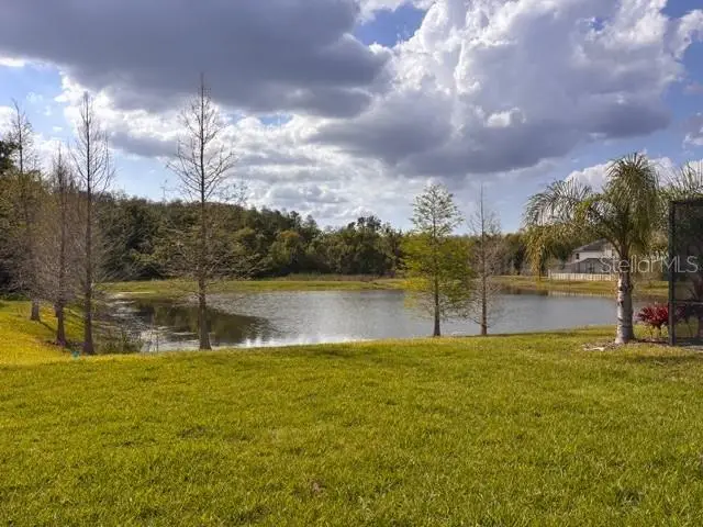 11712 Jackson Landing Place, Tampa, FL 33624 - #2