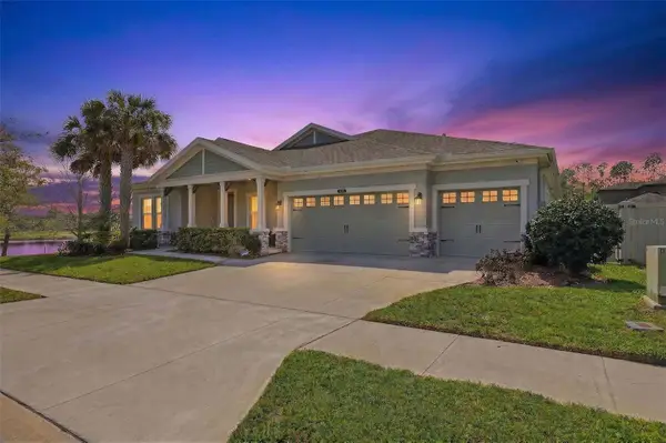 21804 Briske Morning Avenue, LAND O LAKES, FL 34637