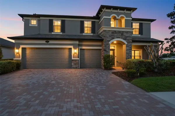 1897 Fox Grape Loop, LUTZ, FL 33558