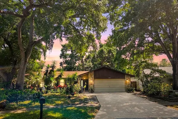 14 Harbor Point Place, SAFETY HARBOR, FL 34695